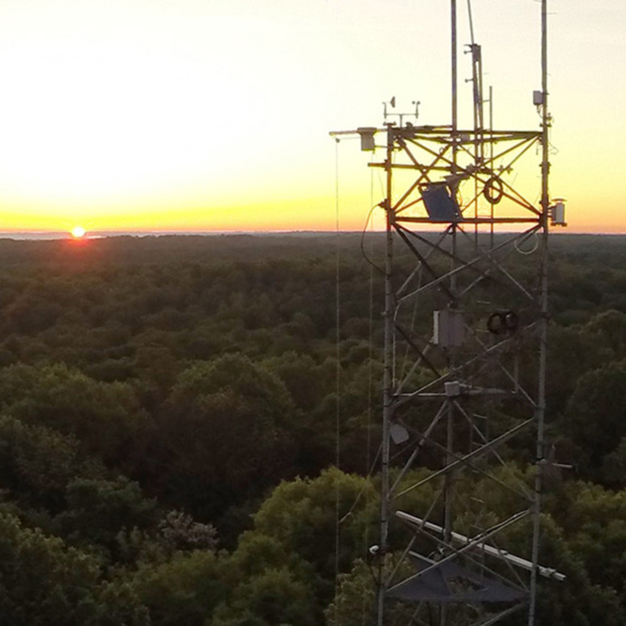 Flux tower